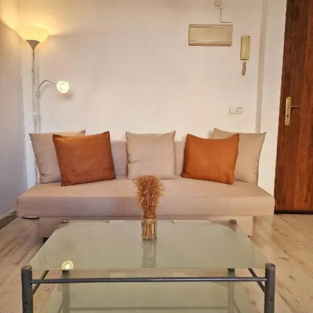 Confortable Apartamento En El Centro De Con Parking *